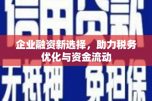濠江企业融资新选择，助力税务优化与资金流动