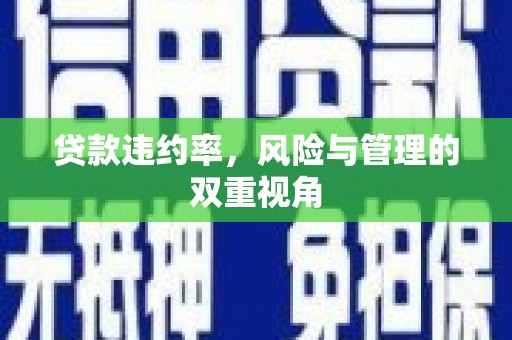 濠江贷款违约率，风险与管理的双重视角