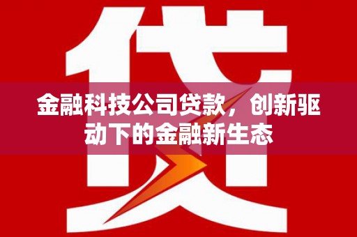 濠江金融科技公司贷款，创新驱动下的金融新生态