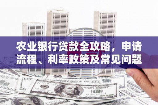 濠江农业银行贷款全攻略，申请流程、利率政策及常见问题解析