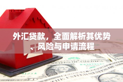 濠江外汇贷款，全面解析其优势、风险与申请流程