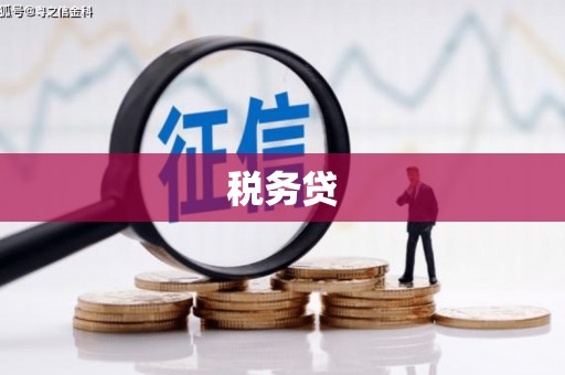 濠江税务贷