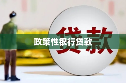 濠江政策性银行贷款