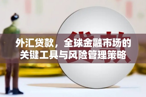 濠江外汇贷款，全球金融市场的关键工具与风险管理策略