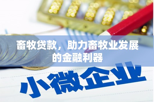 濠江畜牧贷款，助力畜牧业发展的金融利器