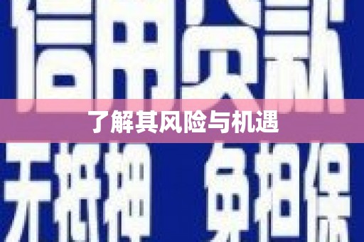 濠江了解其风险与机遇