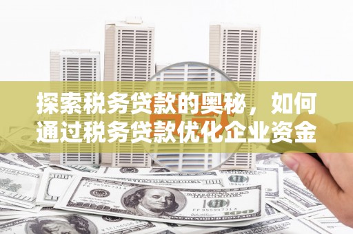 濠江探索税务贷款的奥秘，如何通过税务贷款优化企业资金流