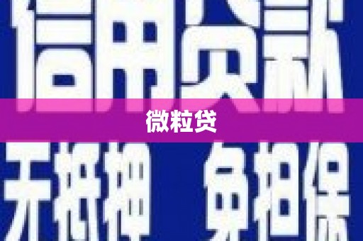 濠江微粒贷