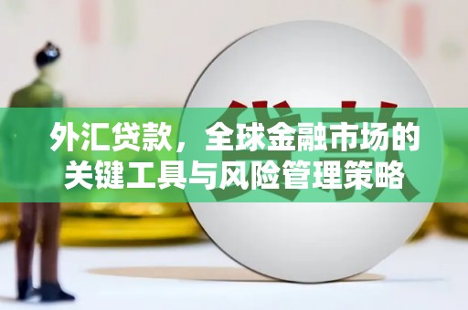 濠江外汇贷款，全球金融市场的关键工具与风险管理策略