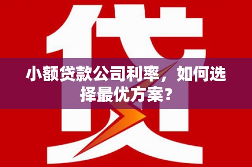濠江小额贷款公司利率，如何选择最优方案？