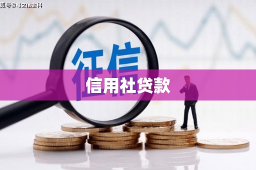 濠江信用社贷款