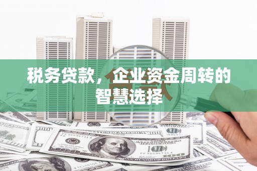 濠江税务贷款，企业资金周转的智慧选择