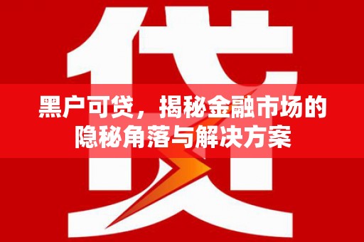濠江黑户可贷，揭秘金融市场的隐秘角落与解决方案
