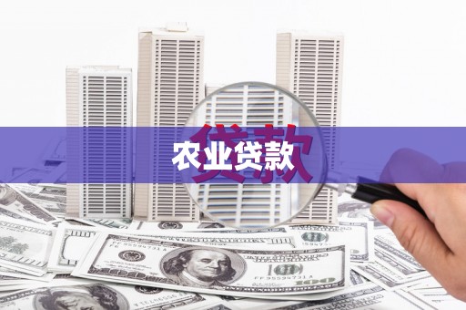 濠江农业贷款