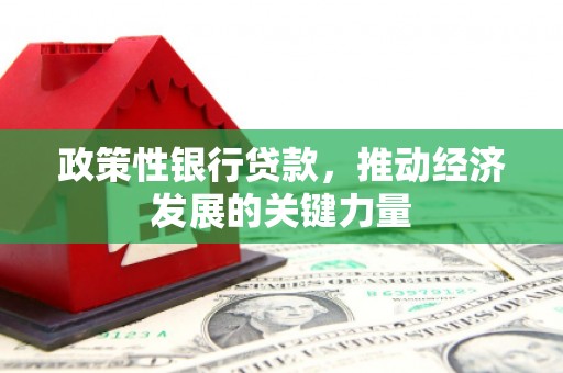 濠江政策性银行贷款，推动经济发展的关键力量