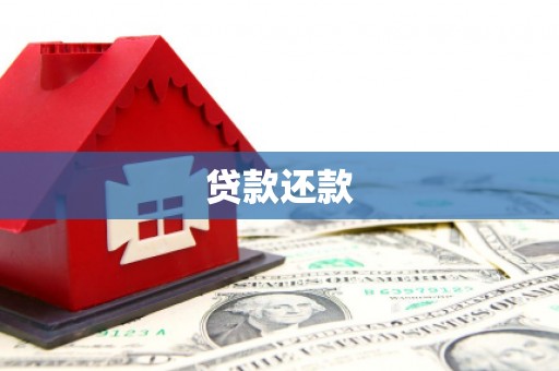濠江贷款还款