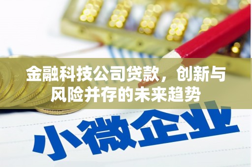 濠江金融科技公司贷款，创新与风险并存的未来趋势