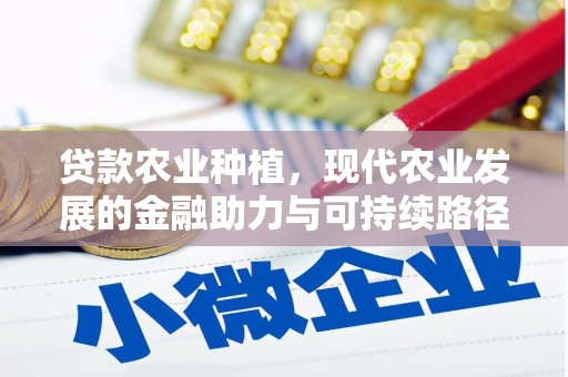 濠江贷款农业种植，现代农业发展的金融助力与可持续路径