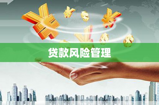 濠江贷款风险管理
