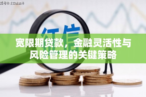 濠江宽限期贷款，金融灵活性与风险管理的关键策略
