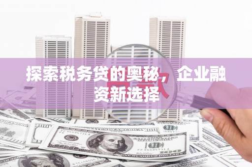 濠江探索税务贷的奥秘，企业融资新选择