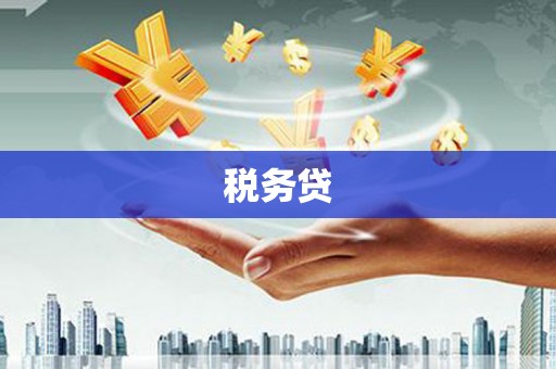 濠江税务贷