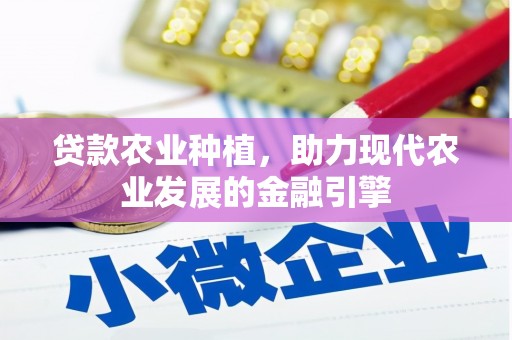 濠江贷款农业种植，助力现代农业发展的金融引擎