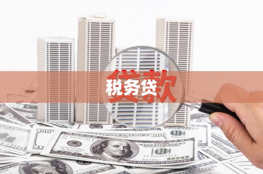 濠江税务贷