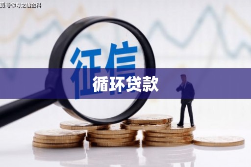 濠江循环贷款