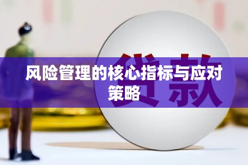 濠江风险管理的核心指标与应对策略