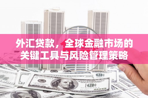 濠江外汇贷款，全球金融市场的关键工具与风险管理策略