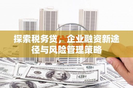 濠江探索税务贷，企业融资新途径与风险管理策略