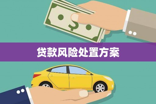 濠江贷款风险处置方案