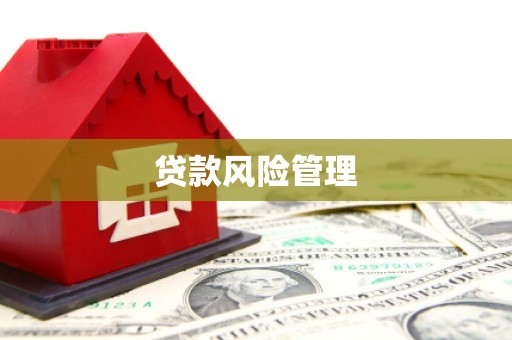 濠江贷款风险管理