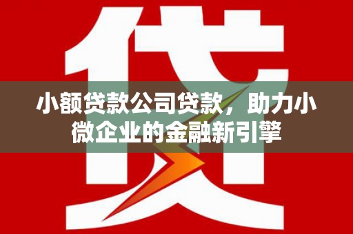 濠江小额贷款公司贷款，助力小微企业的金融新引擎