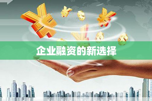 濠江企业融资的新选择