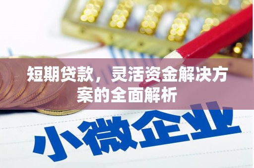 濠江短期贷款，灵活资金解决方案的全面解析