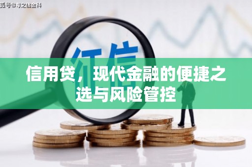 濠江信用贷，现代金融的便捷之选与风险管控