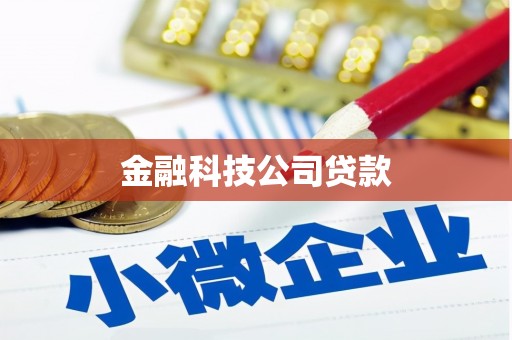 濠江金融科技公司贷款