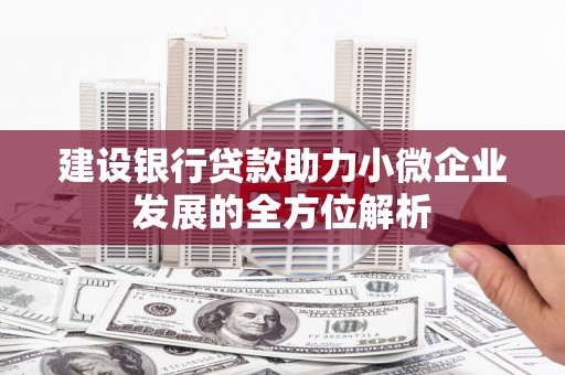 濠江建设银行贷款助力小微企业发展的全方位解析