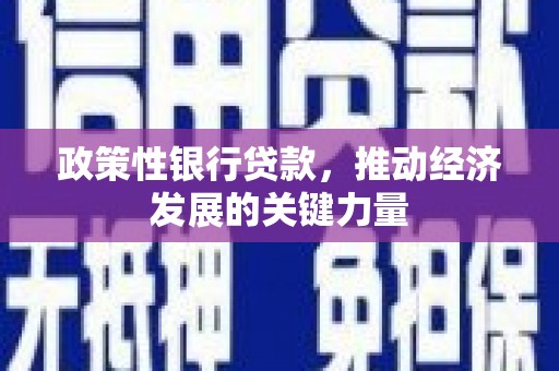 濠江政策性银行贷款，推动经济发展的关键力量