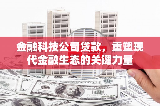 濠江金融科技公司贷款，重塑现代金融生态的关键力量