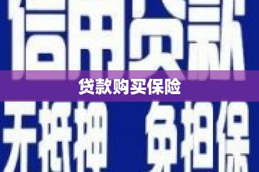濠江贷款购买保险