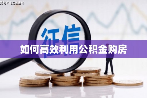 濠江如何高效利用公积金购房
