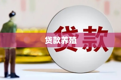 濠江贷款养殖