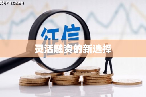 濠江灵活融资的新选择