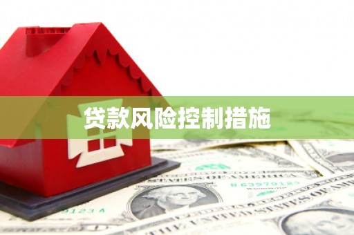 濠江贷款风险控制措施