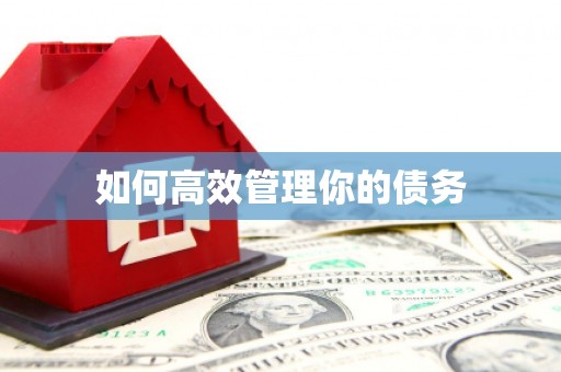 濠江如何高效管理你的债务