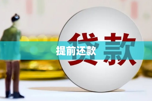 濠江提前还款