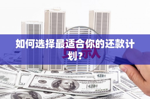 濠江如何选择最适合你的还款计划？